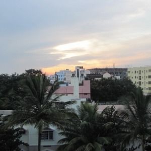 Meet your Posher, Janice